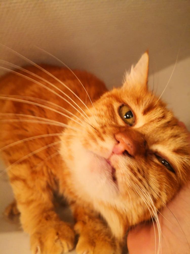 321419168_590664679155457_4324429187099959761_n