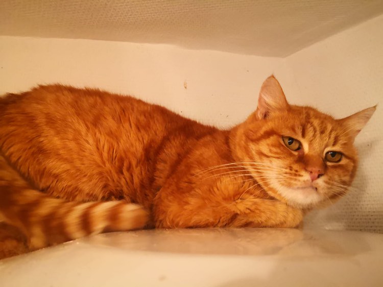 321935354_844766286999715_3973928290423574562_n