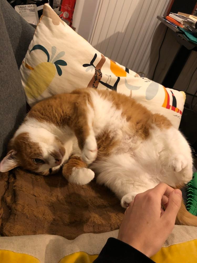 324908975_551974260220171_1056676584614922480_n