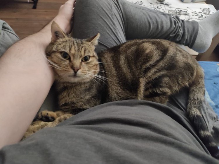 325205625_2337627686418912_3436253647783078223_n