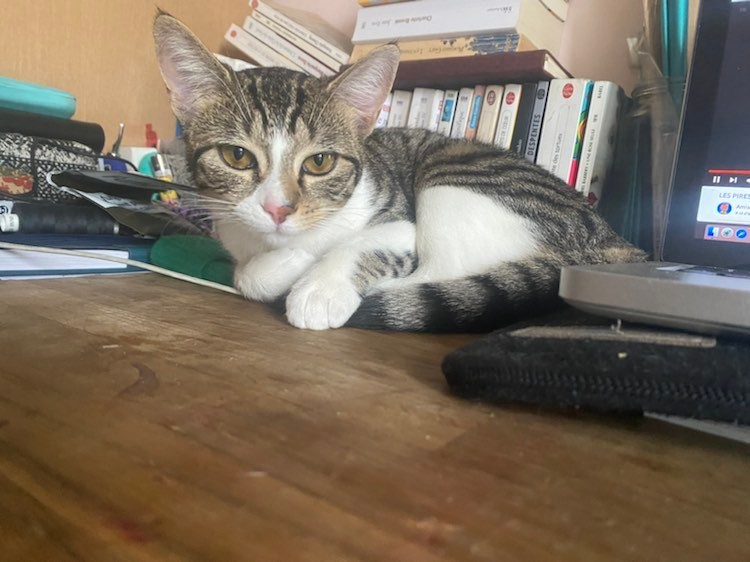 325378753_3409336839310496_5042111174476851246_n