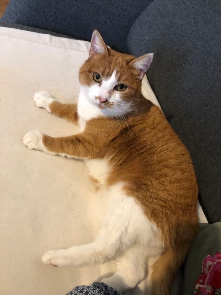 325575611_2264736213710201_1146357324939760044_n