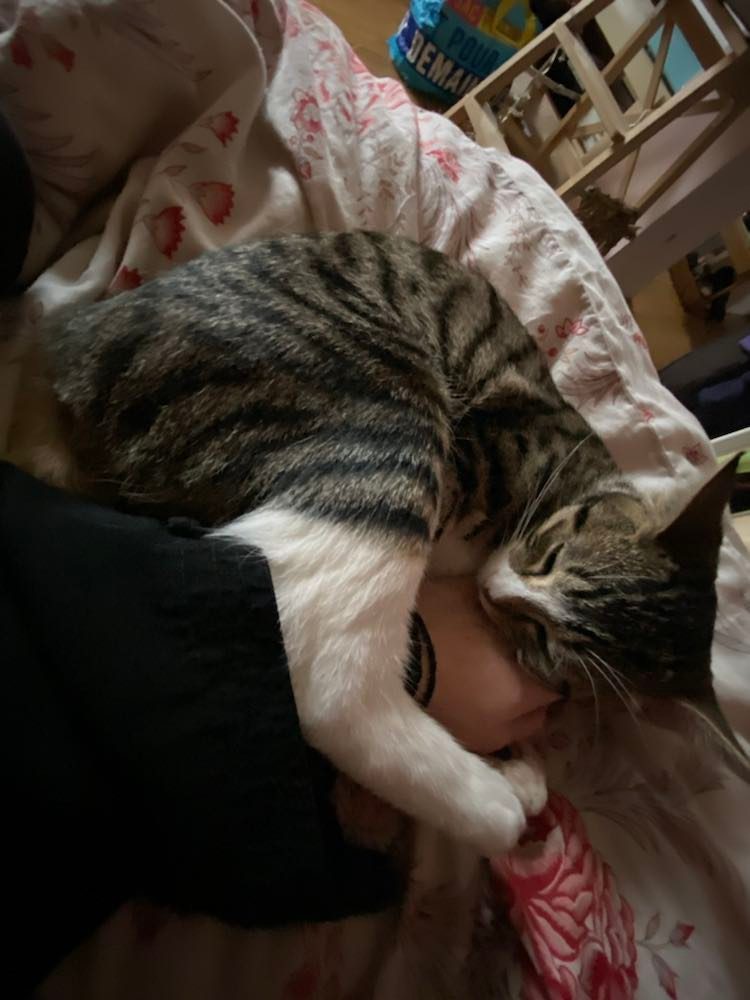 326082543_907262197061544_6190548712912497151_n