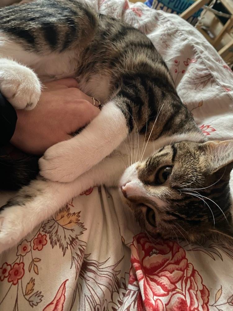 326313534_1547800445740510_6539771597452072185_n