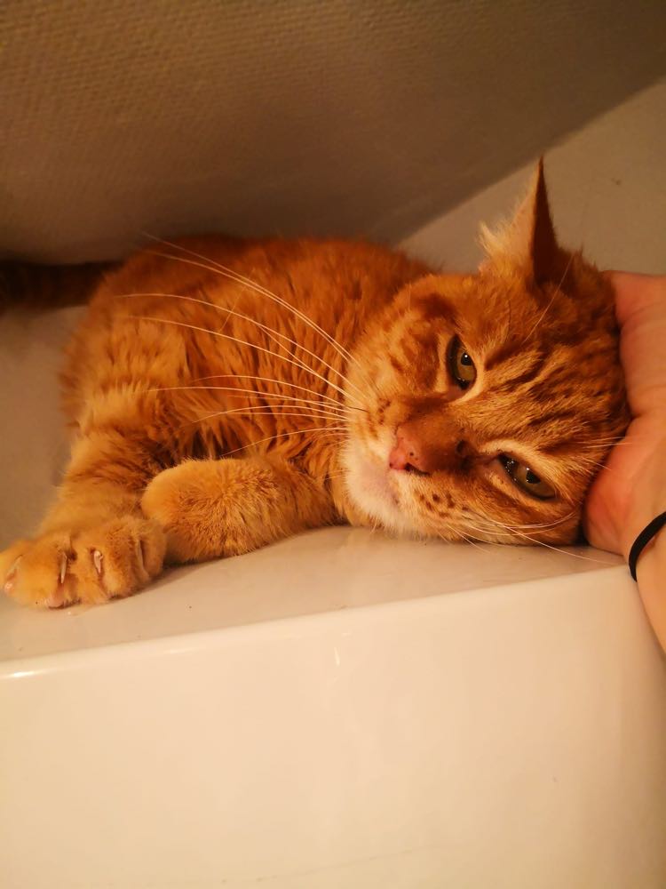 326355280_756920005861435_5101559873002293107_n