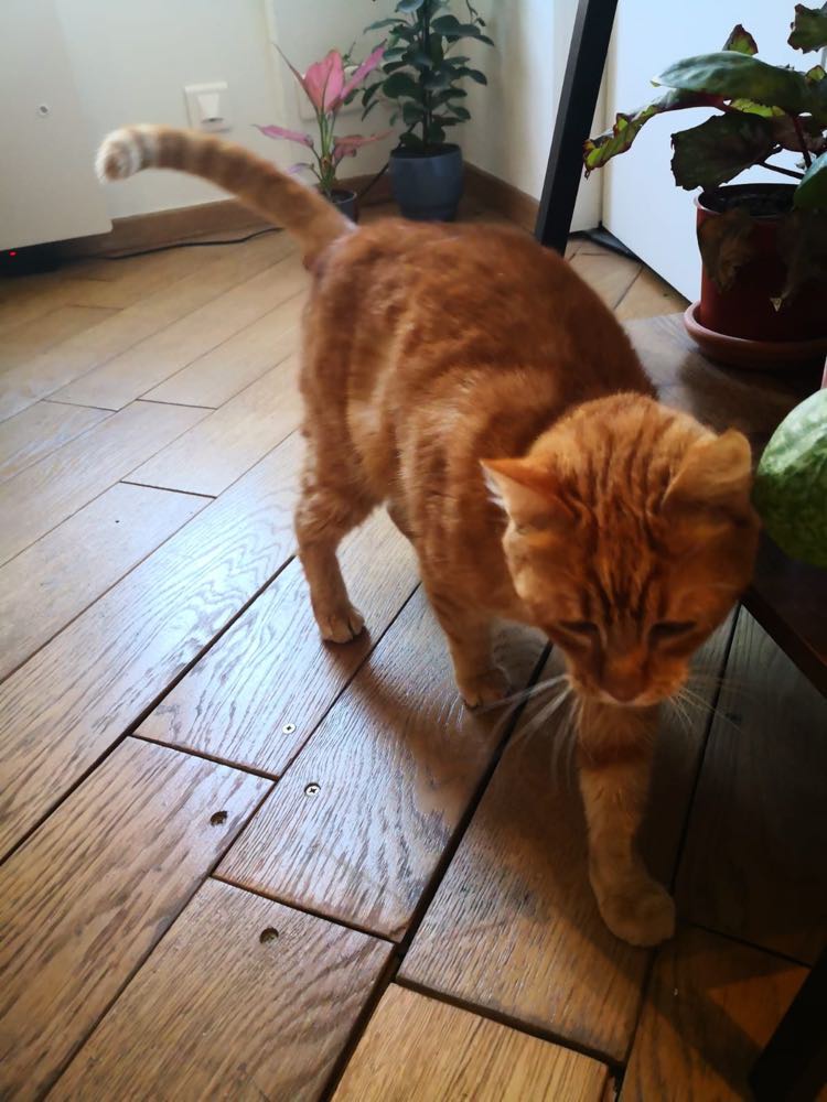 326428391_598171001825345_7461893863451173951_n