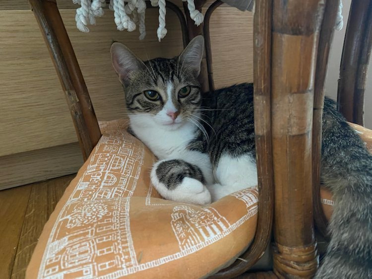 326518644_922119222252362_2294534327910411560_n