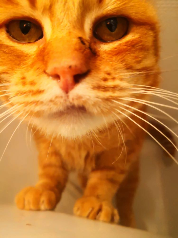 326702436_2160486344161130_7905119374440461920_n