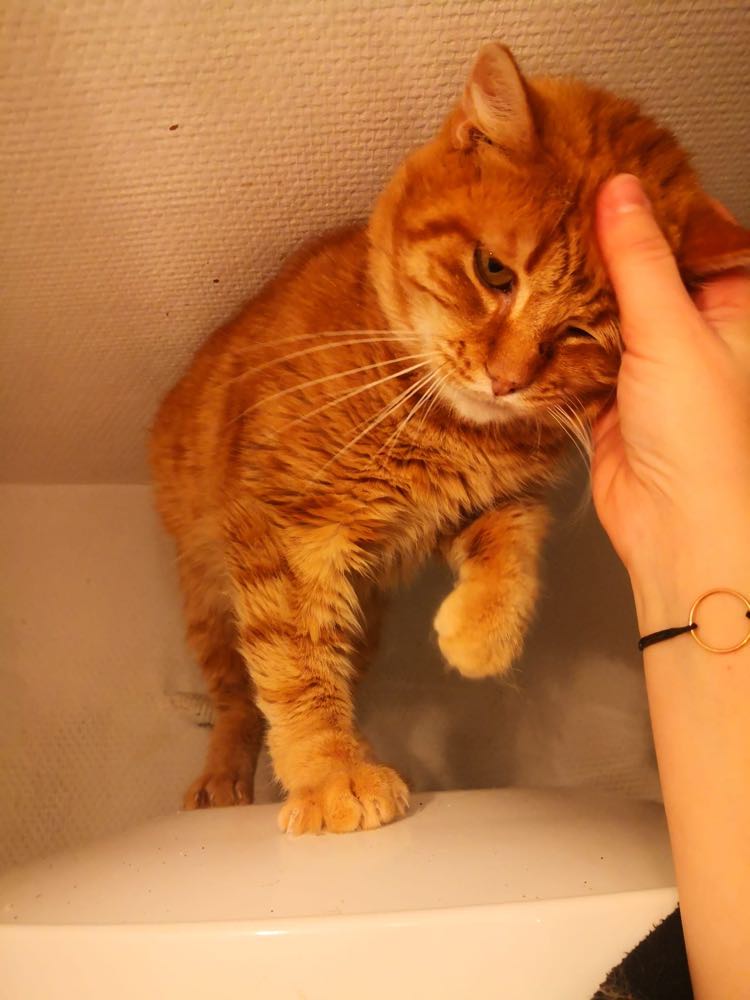 326747383_1299296960632504_7777489726305207679_n