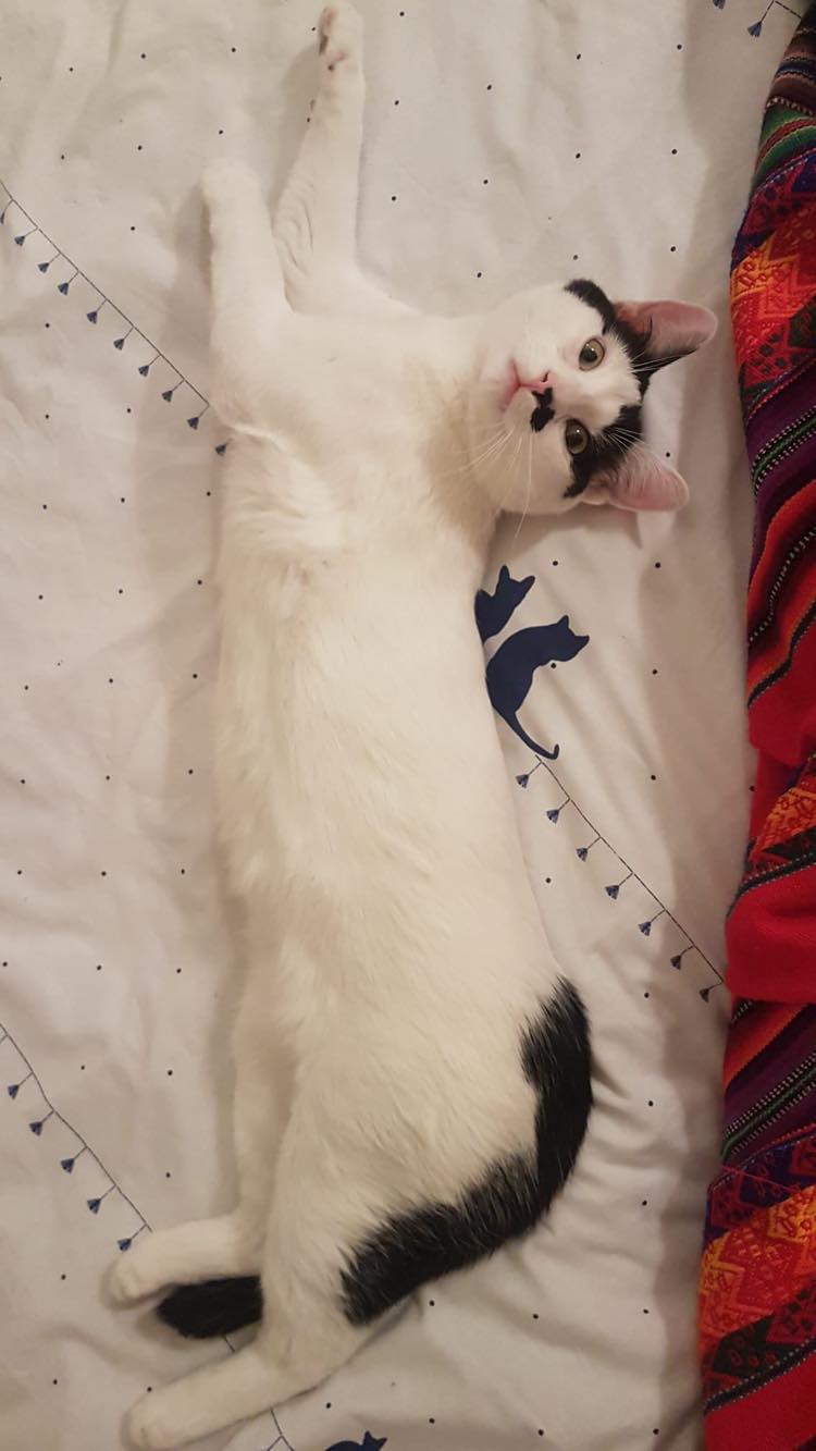 326896558_576164471097377_7290419225917075744_n