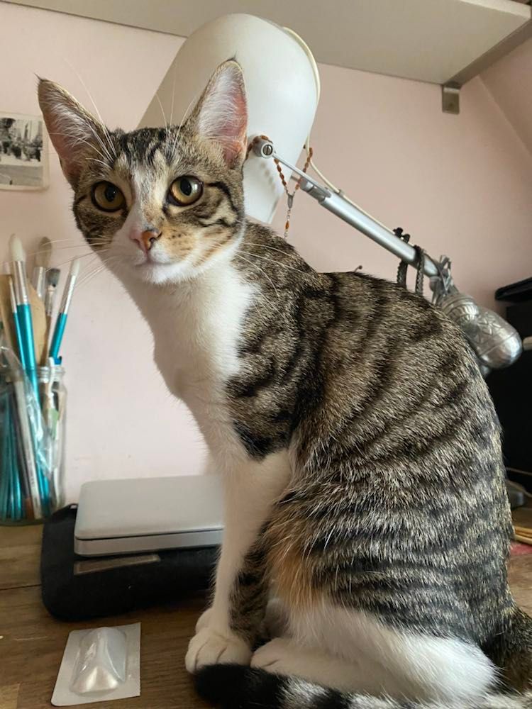 326972318_949751593063060_6463201293931937650_n