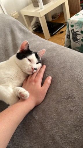 327077101_3364027083810052_4801683925755815115_n