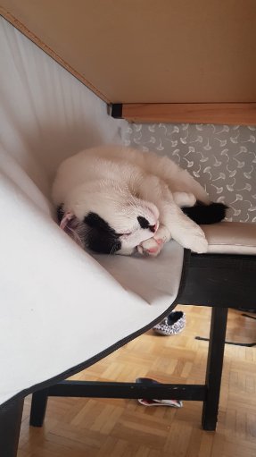 327111585_1194995624481852_8740408278489904908_n