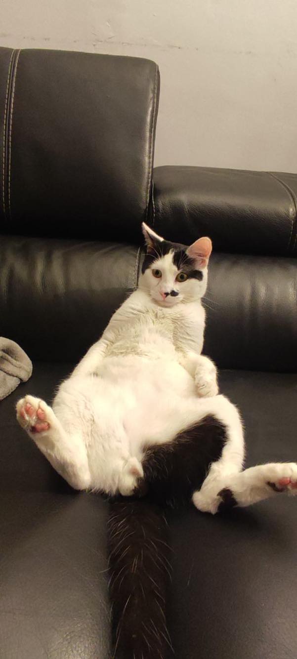 327118442_878608753372026_8270061079024133265_n