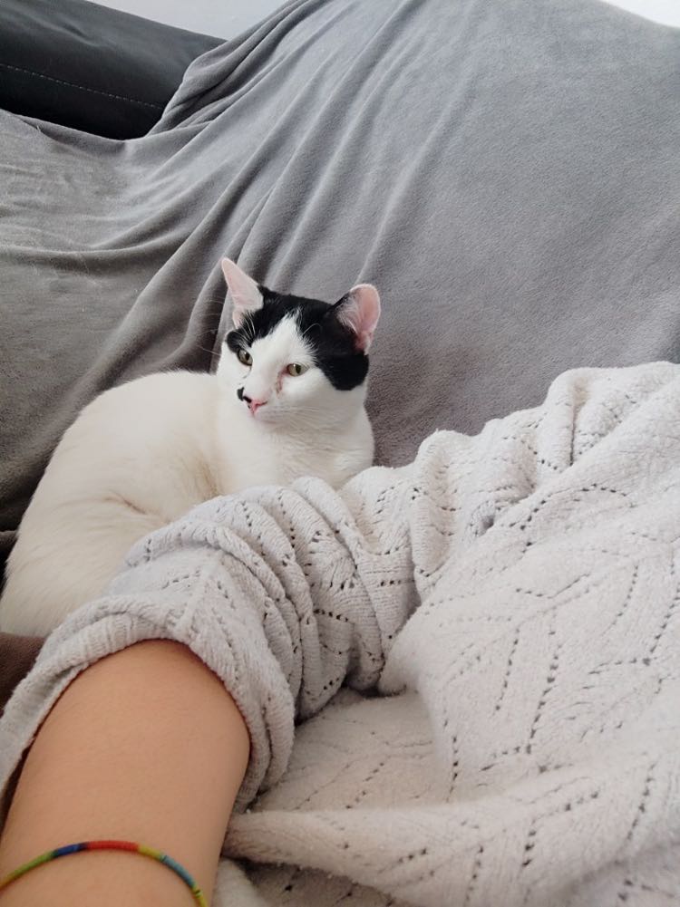 327277880_3348093728763122_3170251896664740304_n