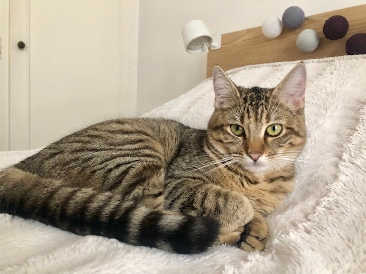 328085800_1667040367063743_3740419176510107200_n