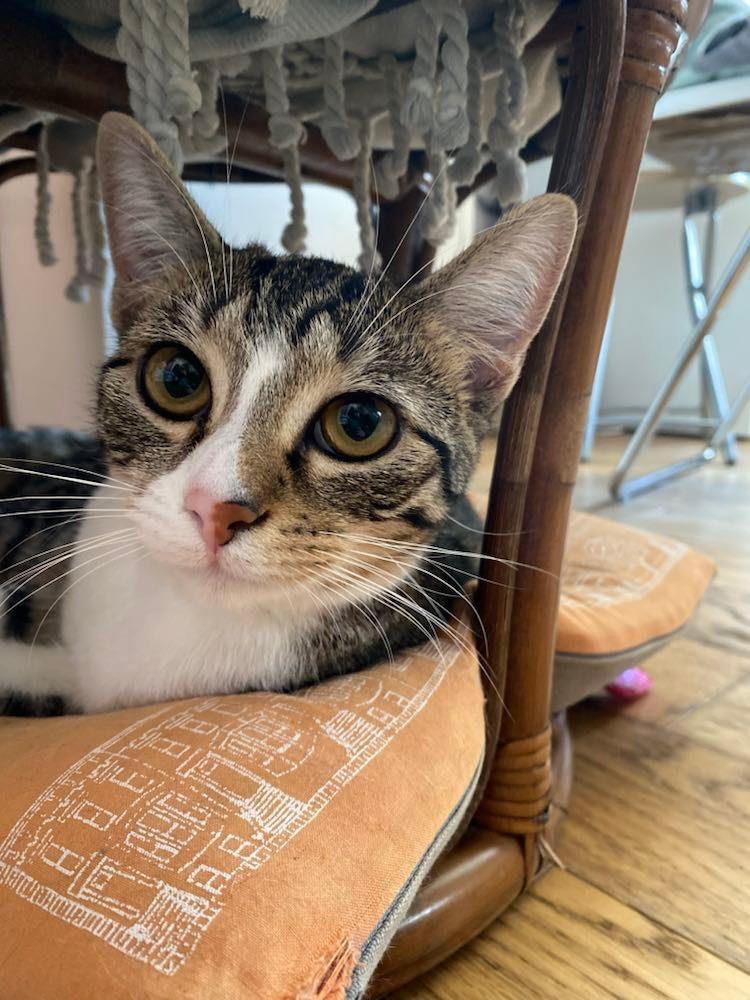 328328583_3388604598073136_6152405799450542452_n