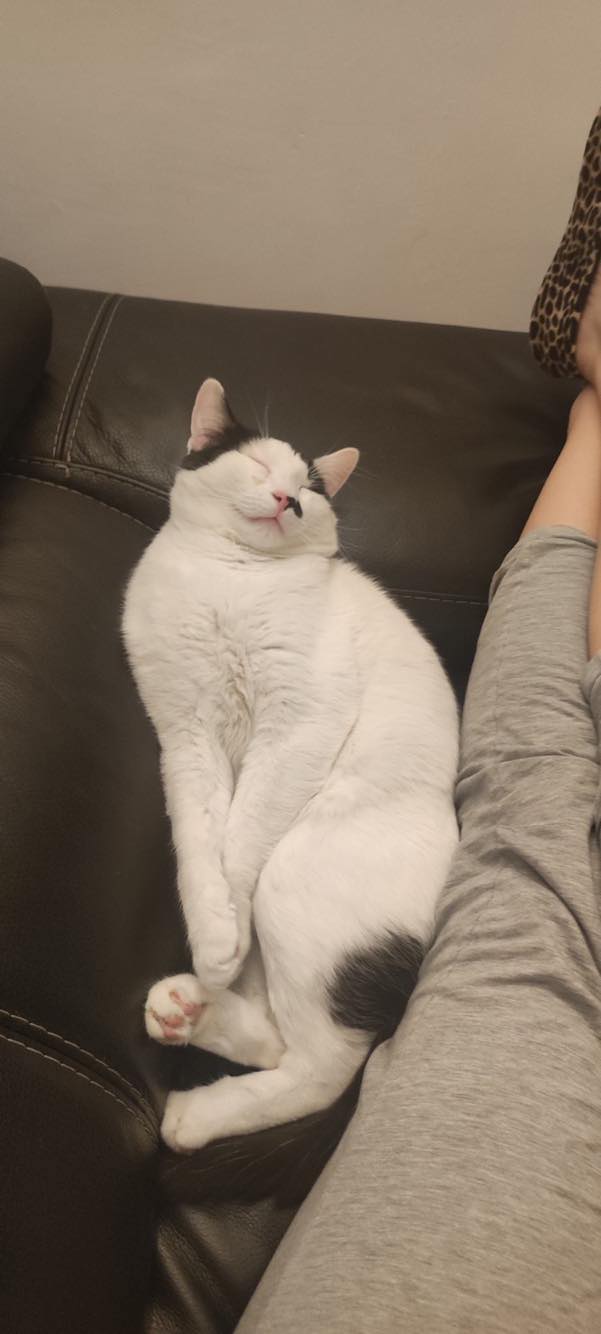 330885955_457923276460581_6041865162333545691_n