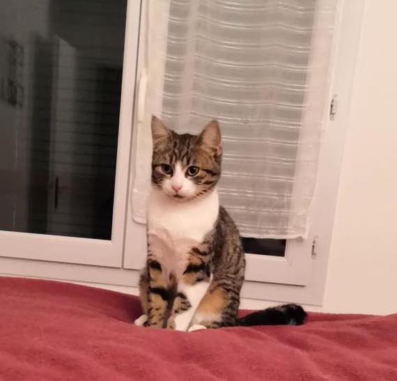 330892547_591465026229466_8811598716757454295_n