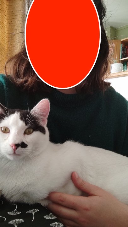 330916885_3358417977733940_8911266327748384324_n