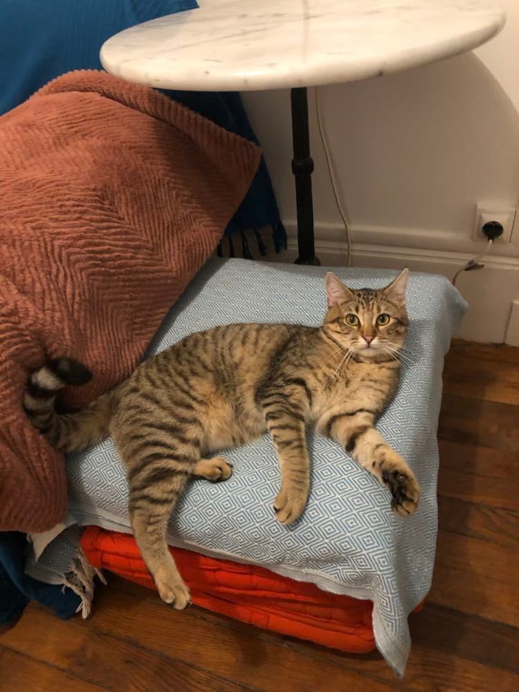 330916895_517144470602718_1557261374269827739_n