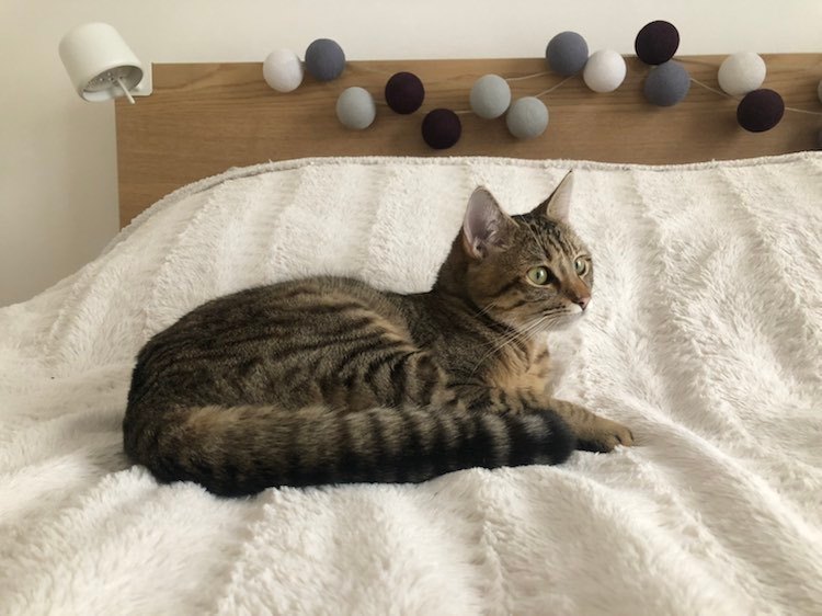 330952035_596205029187305_5700947254072166092_n