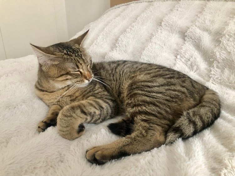 331050698_1067474801321924_7416338481067939384_n