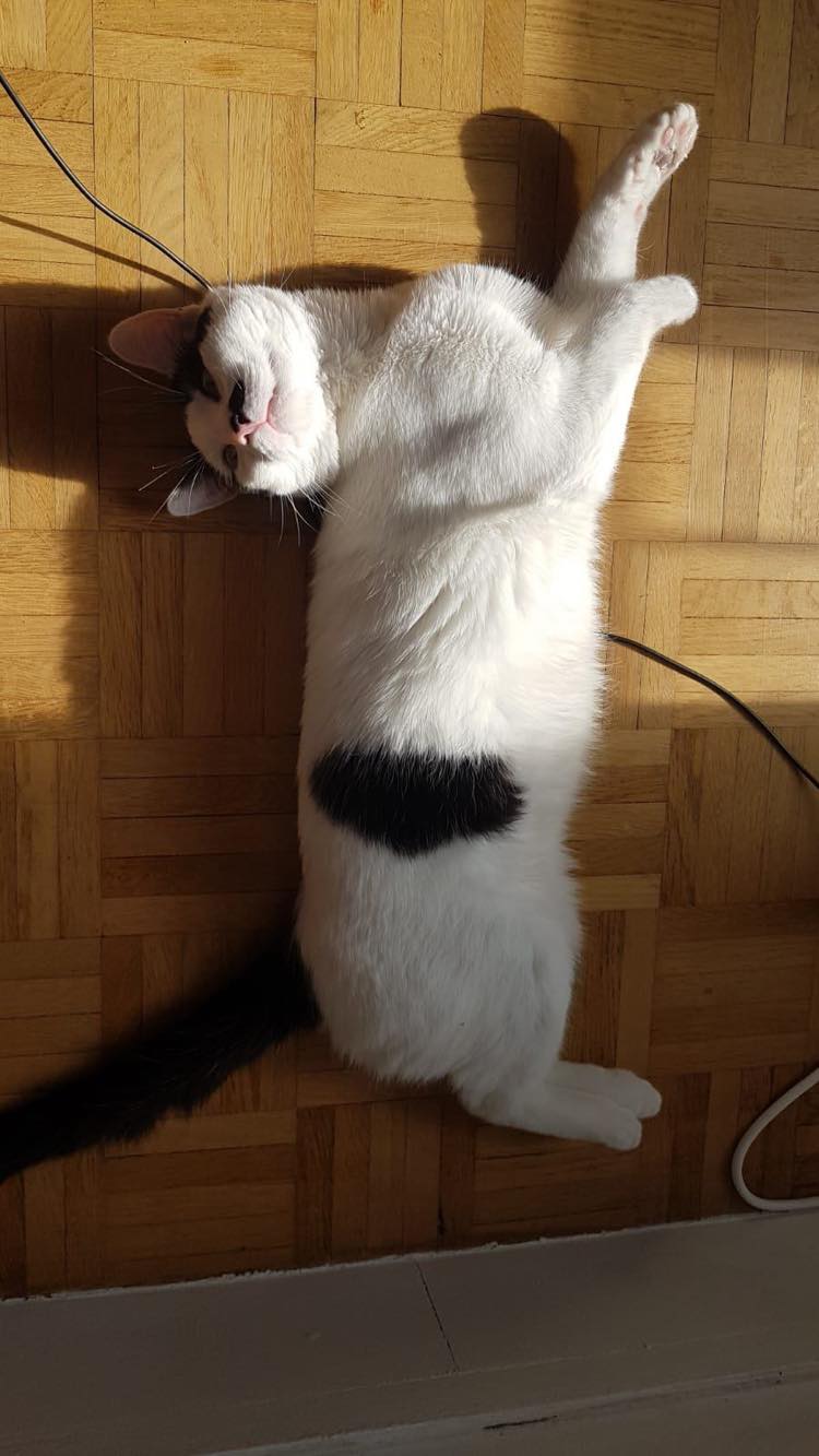 331066294_761955442223380_377125852070773498_n