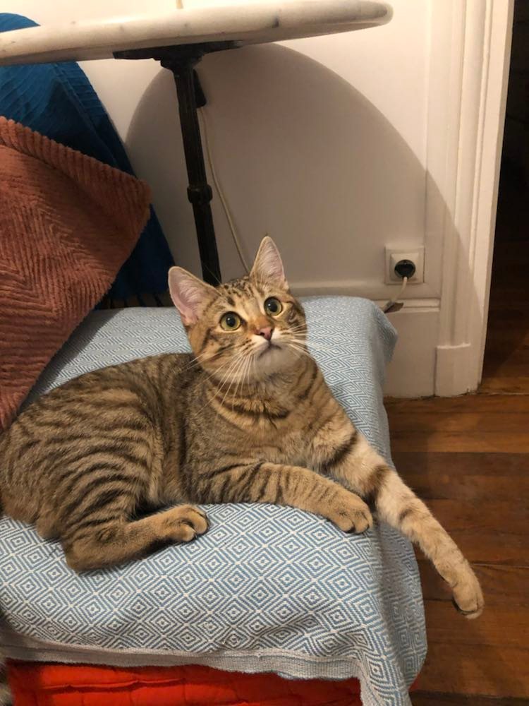 331111377_142782768379753_7474689948806291368_n