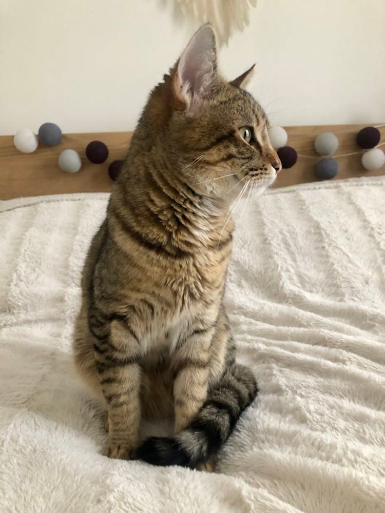 332365616_1266939504035414_8549299932161672856_n