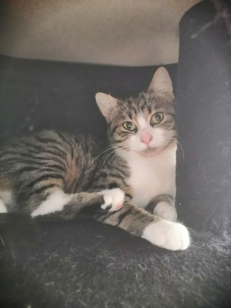 332408256_897204304865763_2452097243666650069_n