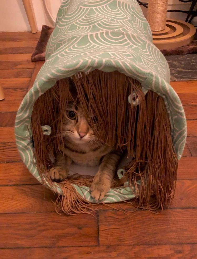 332557700_669645804917375_819657447091274519_n