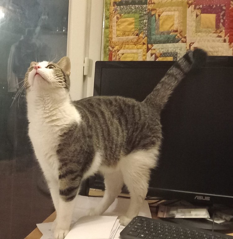 333735317_745342720457633_4273914304423564456_n