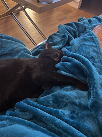 334007773_736704684566654_4648496184205227096_n