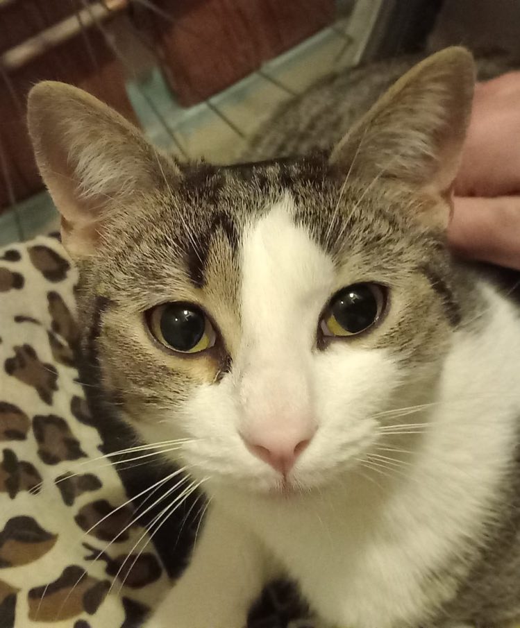 334151520_1389959475100730_1551455751920301294_n