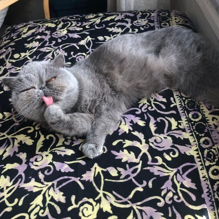 334258455_205538175412736_836335608145283193_n