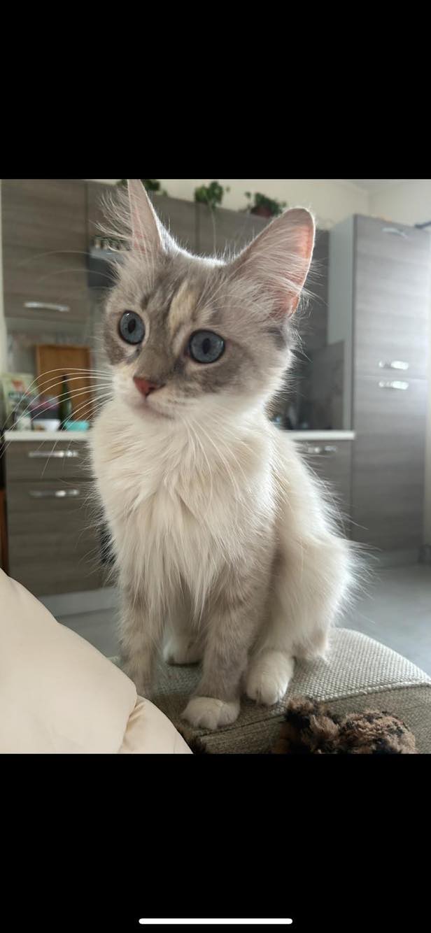 334414948_993900318201842_8538573147106583004_n