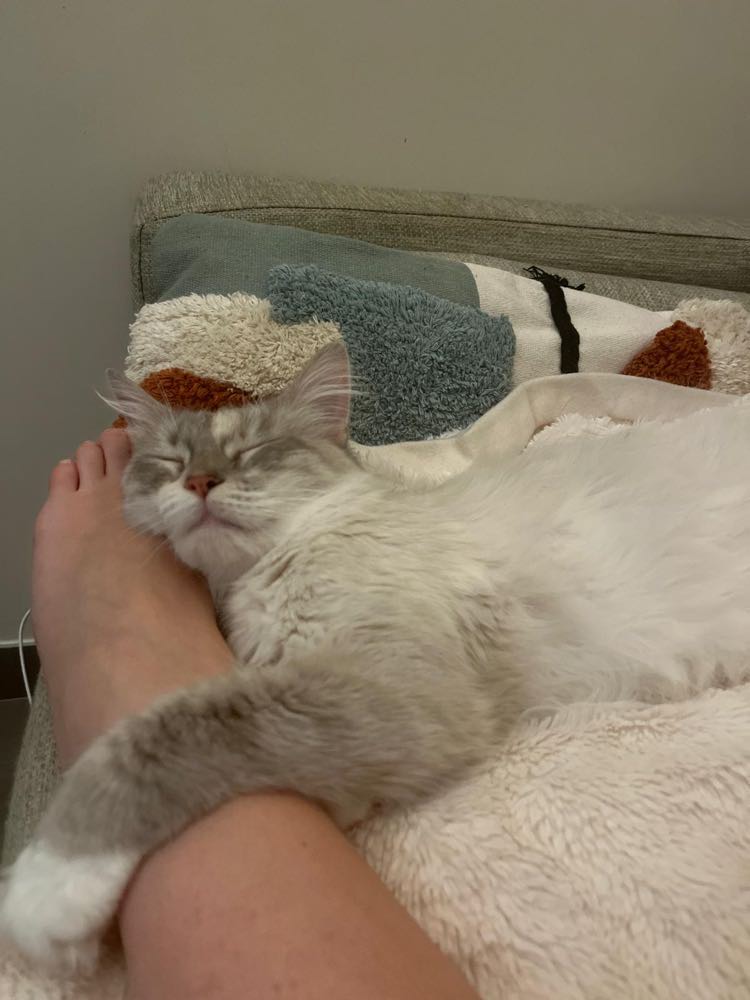 334521807_578861874172496_3759740702569453928_n