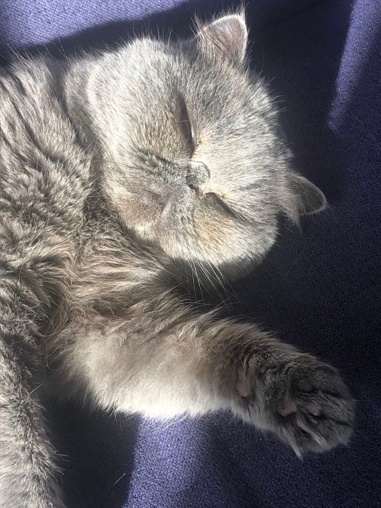 334672525_900965021179491_2454586617461267995_n