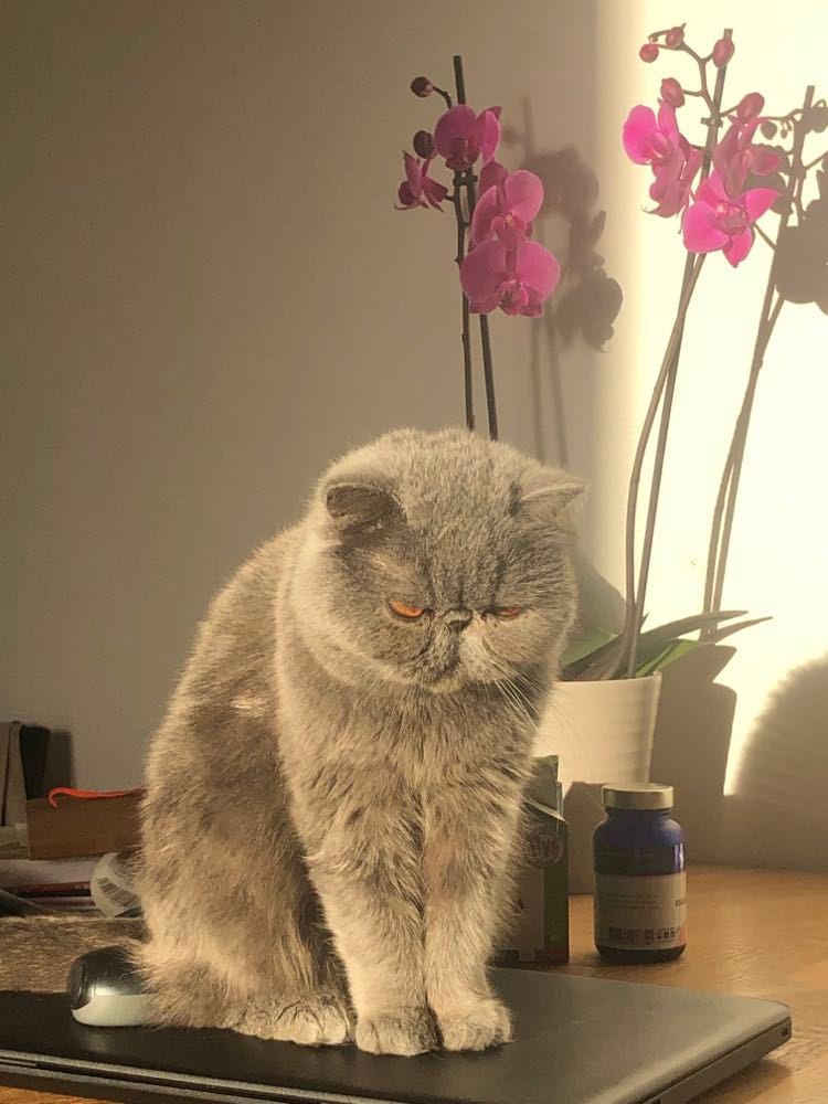 334690518_629962705631896_46948538817855681_n