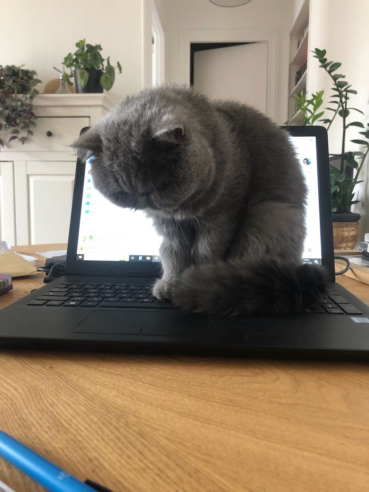 334731850_193085010105027_8689235129317092392_n