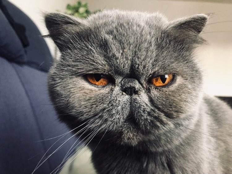 334787389_718748746655930_5996334173334182218_n