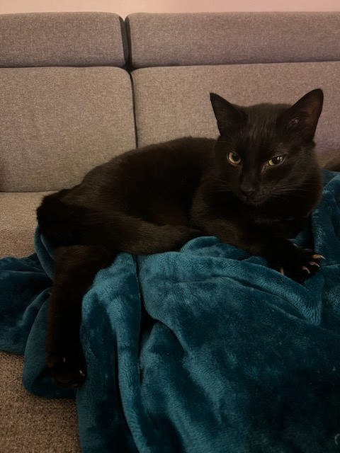 334820203_925773988560991_2010039701163981017_n