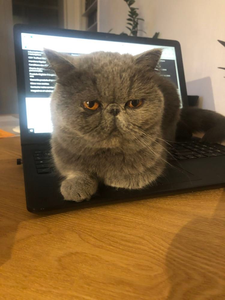 336738697_777511250615629_9072000015340026463_n