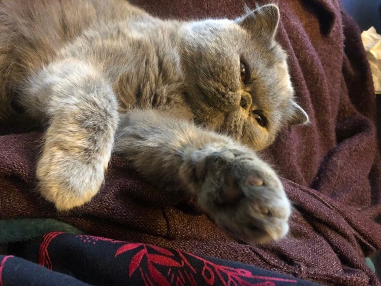 336774294_907182273950193_5026183295422253008_n