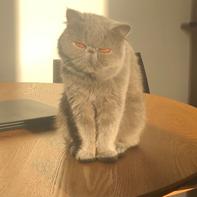 336784108_600107125341592_653341110253328057_n