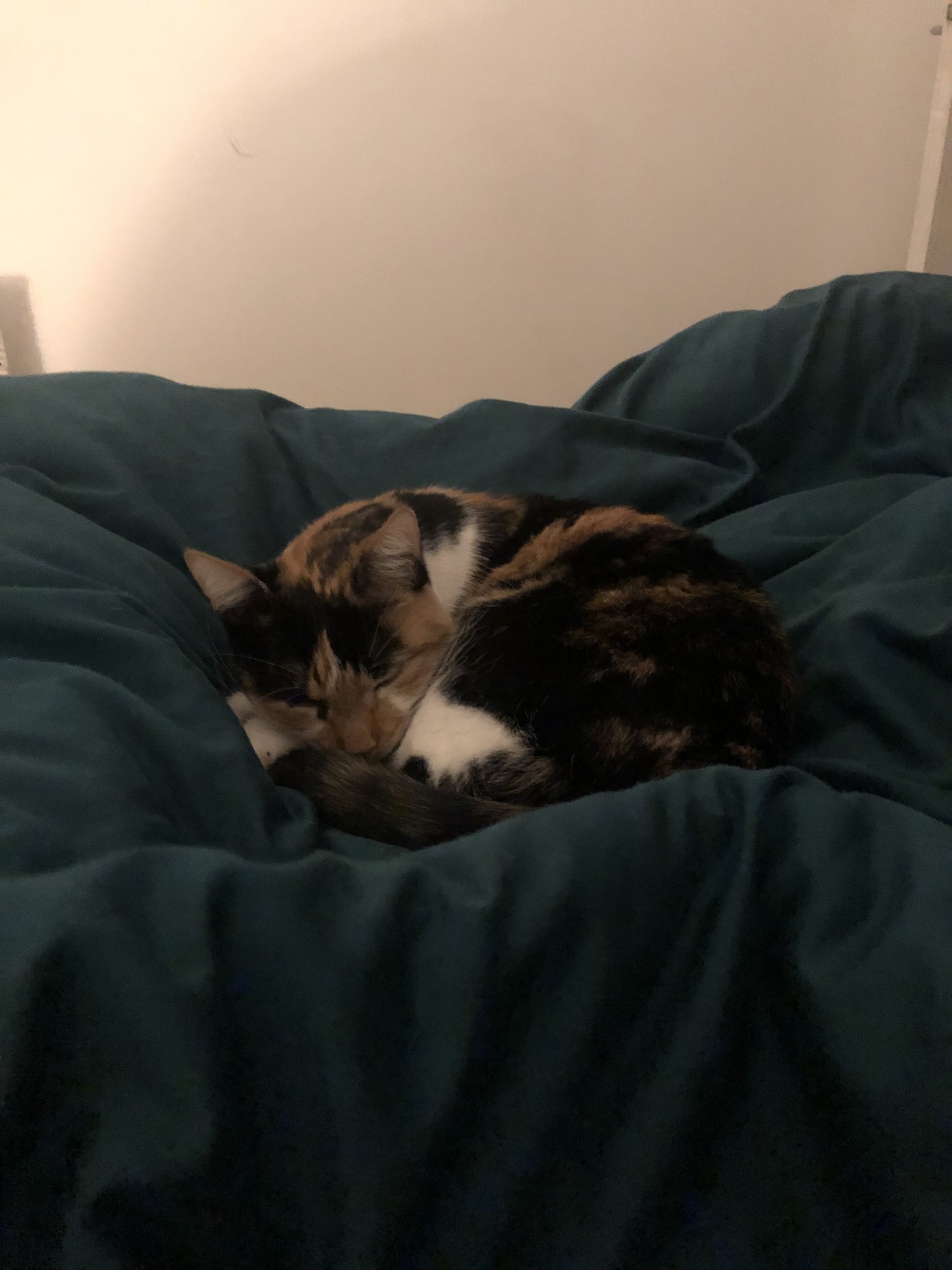 336811952_548228350630492_341066629806496652_n