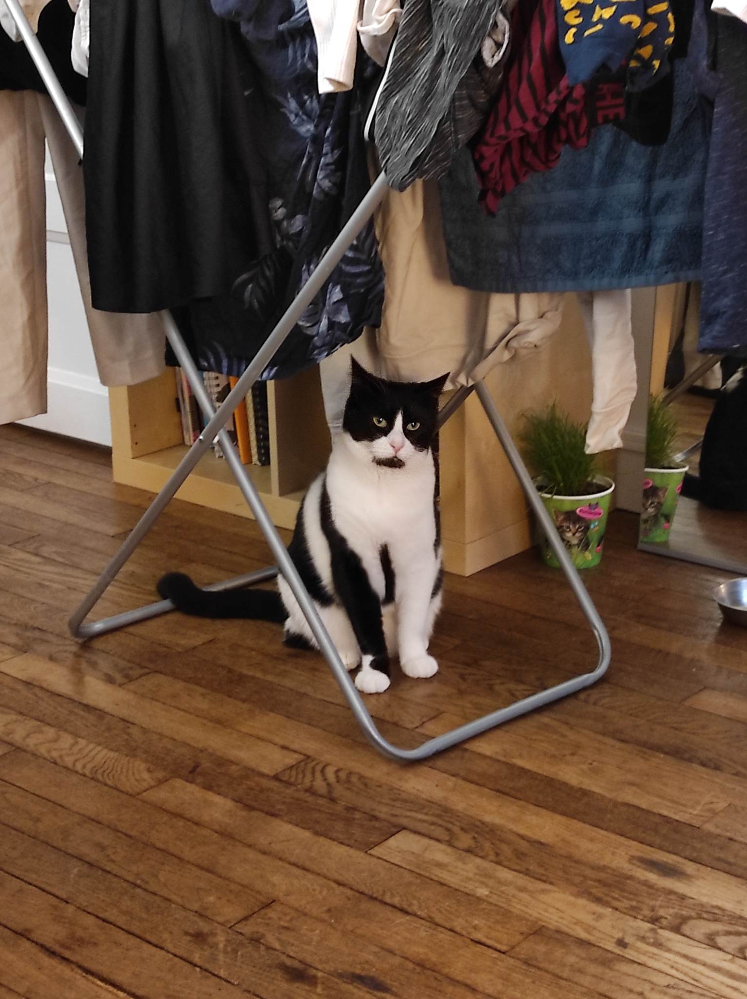 336856913_587486896645843_5462654125545516209_n