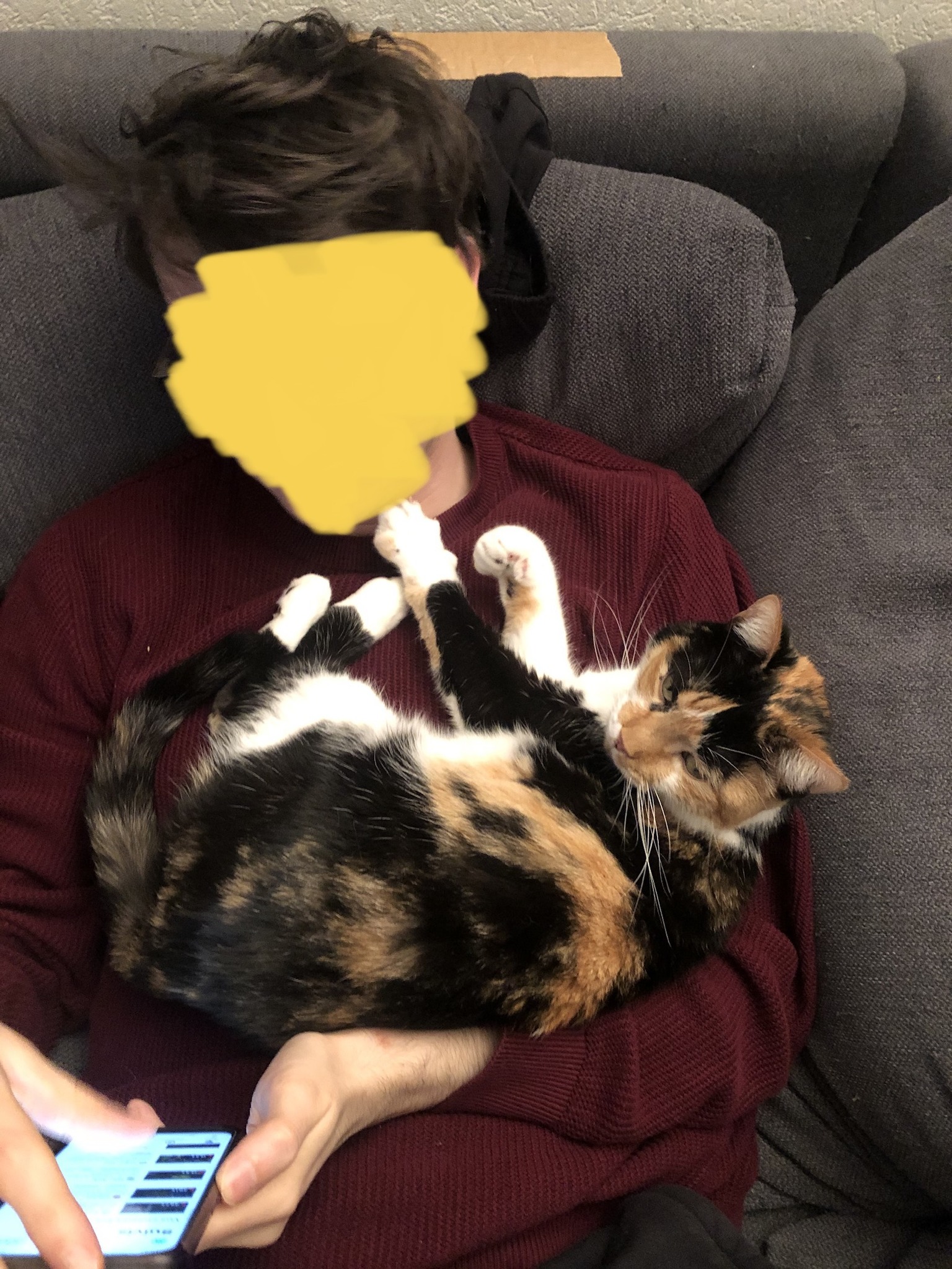 336860559_3480415442278897_6058941230065295646_n