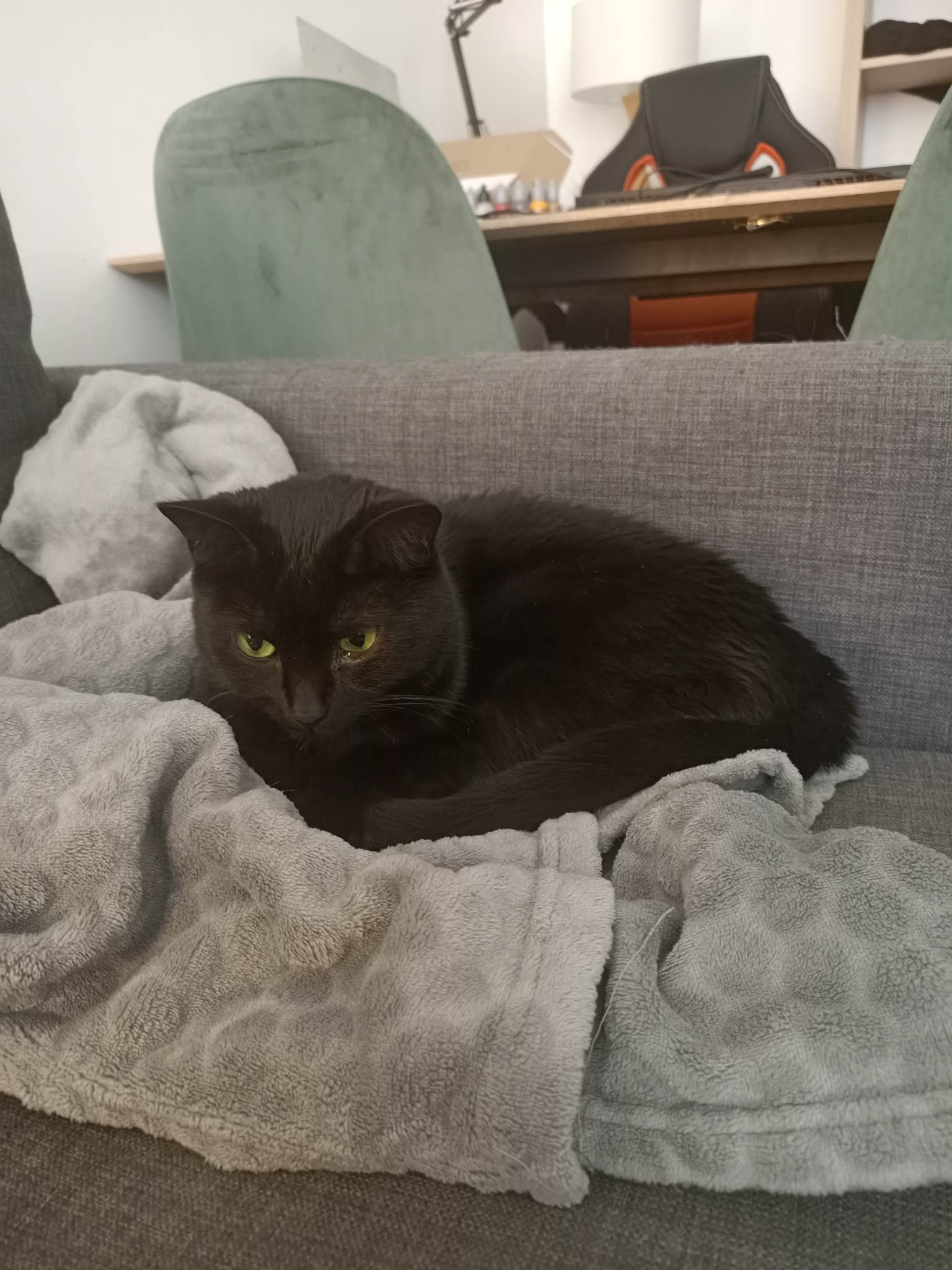 336869454_106195032428281_4382379711796895237_n